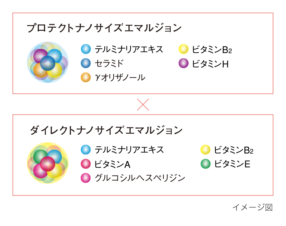 イメージ図