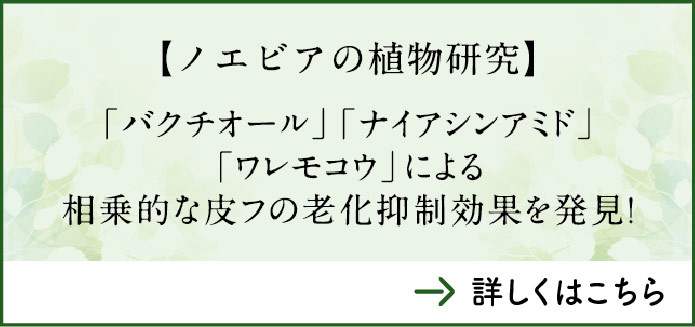 バクチオール、ナイアシンアミド、ワレモコウによる相乗的な皮フの老化抑制効果